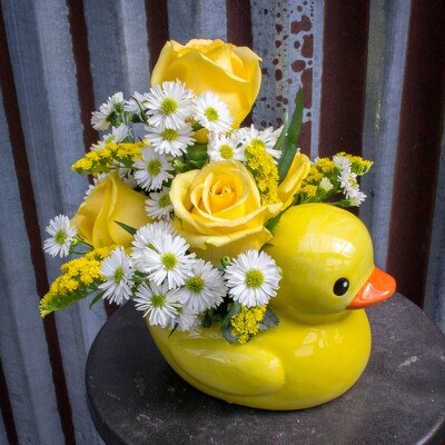 Just Ducky from Marion Flower Shop in Marion, OH