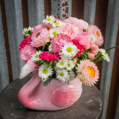 Fancy Flamingo from Marion Flower Shop in Marion, OH