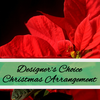 Designer's Choice - Christmas from Marion Flower Shop in Marion, OH
