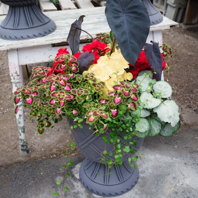 Spring Combo Pedestal Pot from Marion Flower Shop in Marion, OH