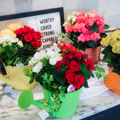 Watering Can Combo from Marion Flower Shop in Marion, OH