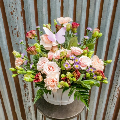 Mother's Day Special #2 from Marion Flower Shop in Marion, OH