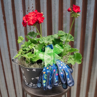 Special #4<br>Comforting Hands from Marion Flower Shop in Marion, OH