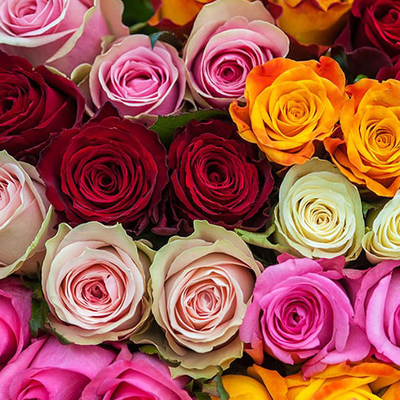humane Udgravning Fremmedgøre Marion Flower Shop :: Florist & Gift Center Marion, OH :: Flower Delivery  in Marion