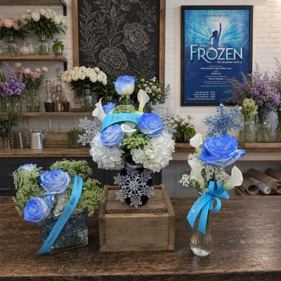 Frozen SPECIAL (HHS)