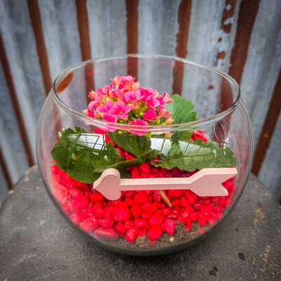 Special #3 - Heart of Glass from Marion Flower Shop in Marion, OH